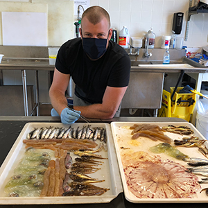 Researcher Keith Hanson at the Southwest Fisheries Science Center laboratory sorts samples collected by the fishing vessel, including anchovies, pyrosomes, and jellyfish.