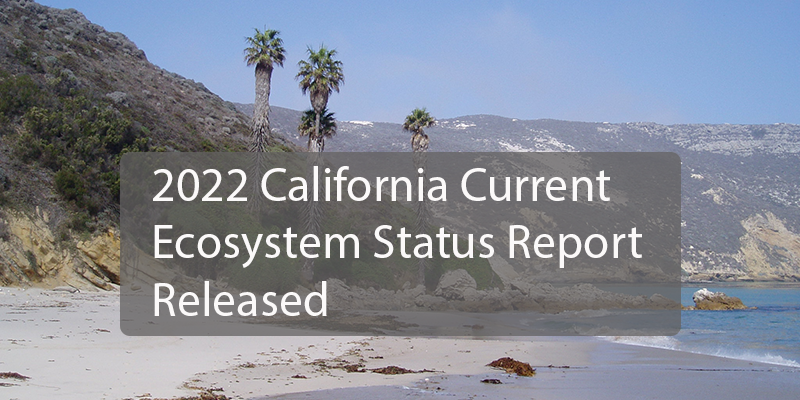 2022 California Current Ecosystem Status report