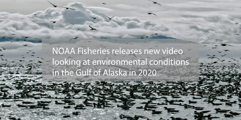 Alaska video