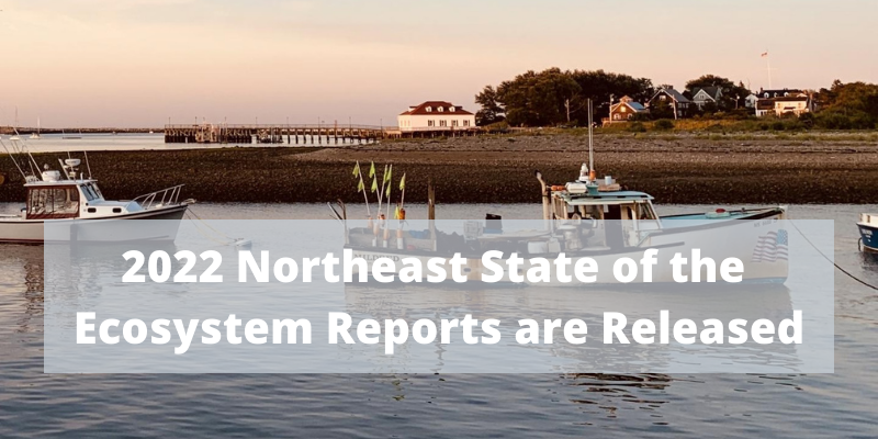 The northeast state of the ecosystem reports are released