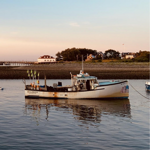 fishing vessel in Stellwagen Bank National marine Sanctuary