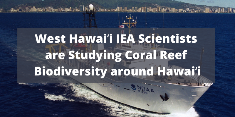 NOAA scientists shipped out to study coral reef biodiversity around west hawaii 