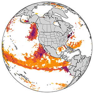 Global view of marine heatwaves