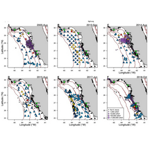 Sampled near bottom dissolved oxygen (DO) concentrations for months with hypoxia (DO ≤ 2 mg l−1) or near hypoxia (2 ≤ DO ≤ 3.5 mg l−1) present along west coast of Florida