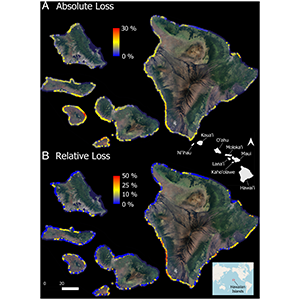Absolute and (B) relative loss in coral cover between January 2019 and January 2020 at 2-m spatial resolution to 16-m water depth. Lower Right Inset indicates location of the Hawaiian Islands in the Pacific Ocean. Middle Right Inset indicates the geographic distribution of the main eight islands. Absolute loss is reported as percentage cover change between years, and relative loss is calculated as [2019 − 2020]/2019 of coral cover. Sections of coastline with dark blue color were not mapped due to rough sea 