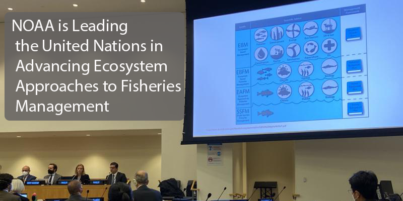 Sarah Gaichas presents ecosystem approach to fisheries management at UN