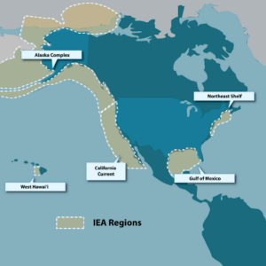 Map of all of the IEA regions
