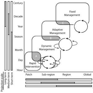 Figure from the paper