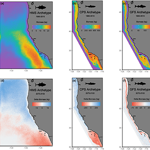 Figure 3 - Simulated biomass distributions for highly migratory, coastal pelagic, and groundfish species archetypes