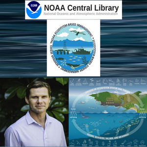 Dr. Jamison Gove presented on the Hawai'i IEA Ecosystem Status Reports during NOAA Seminar Series