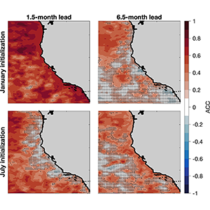 Spatial patterns in SST forecast skill