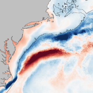 2025 State of the Ecosystem Reports: Colder, Fresher Waters in the Northwest Atlantic Likely Linked to Species Redistribution, Delayed Migrations