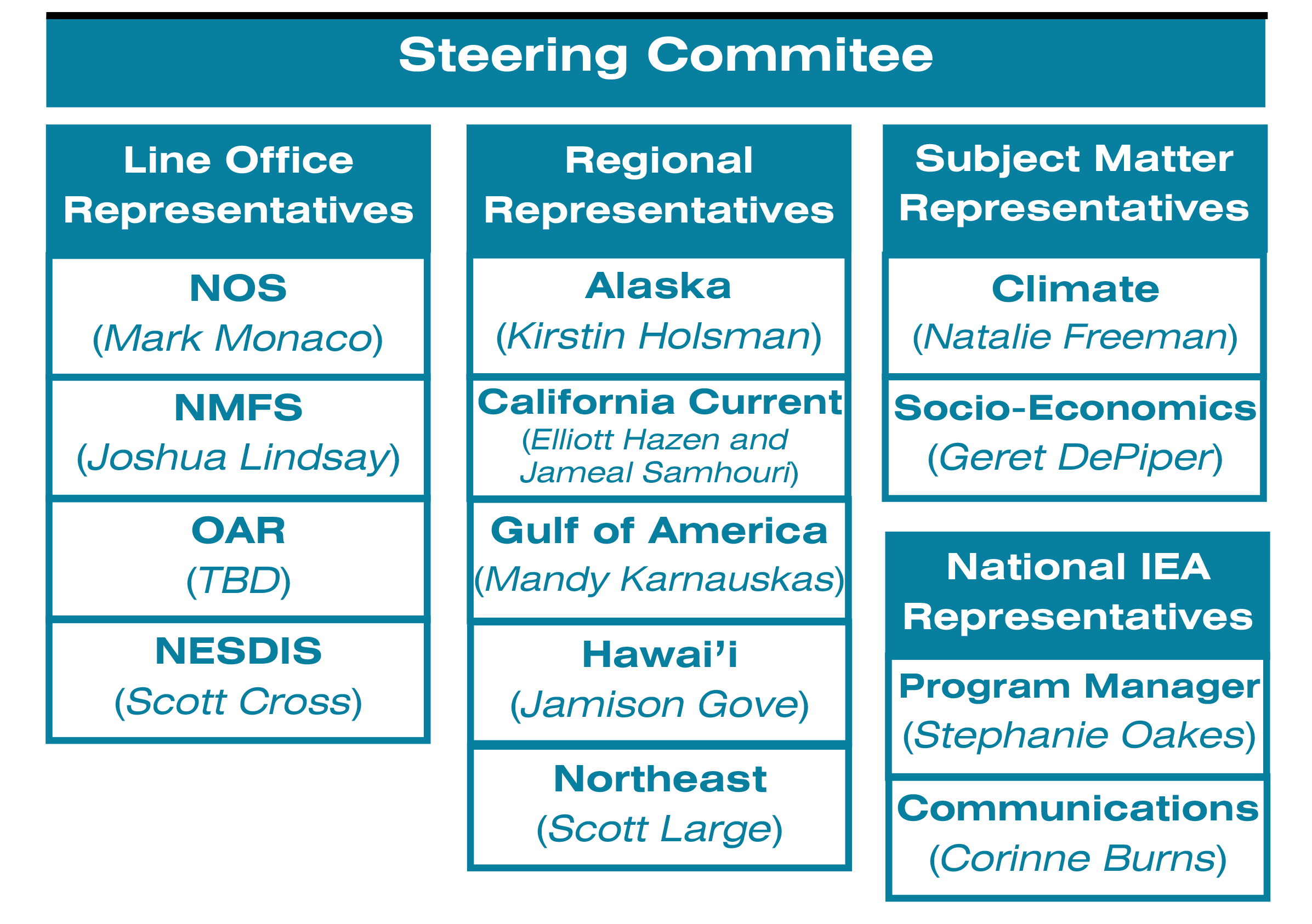 Steering Committee representatives by region and line office