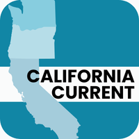 California Current