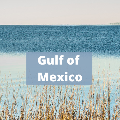 Gulf of Mexico