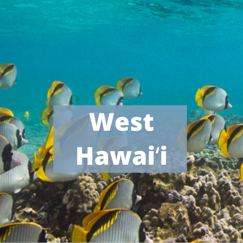 West Hawaii Ecosystem Status Reports
