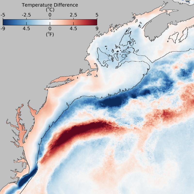 This figure shows bottom water temperature anomalies along the Northeast Shelf in February 2024.