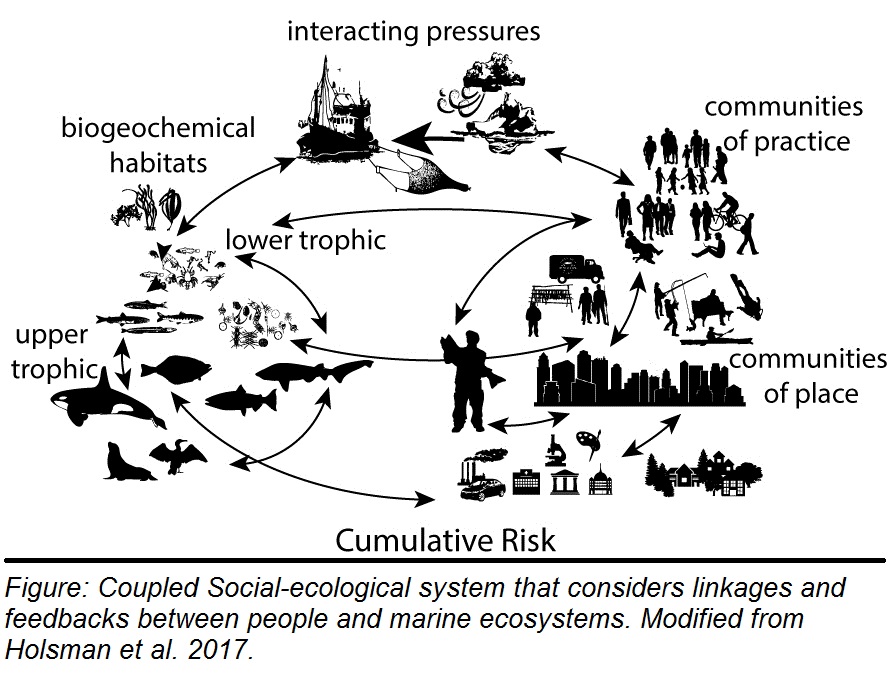 Coupled social-ecological system