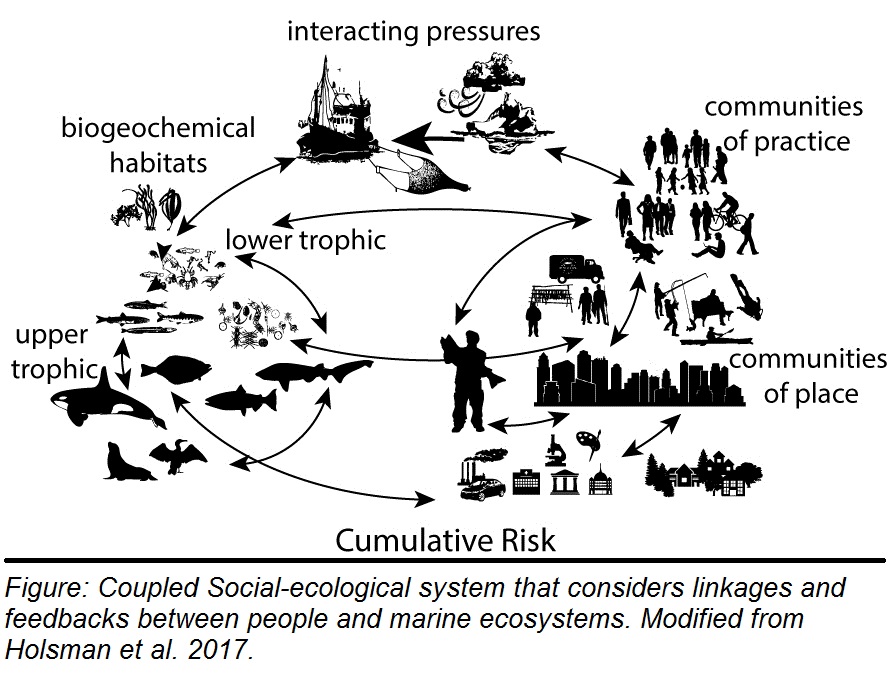 Alaska ecosystem system modeled