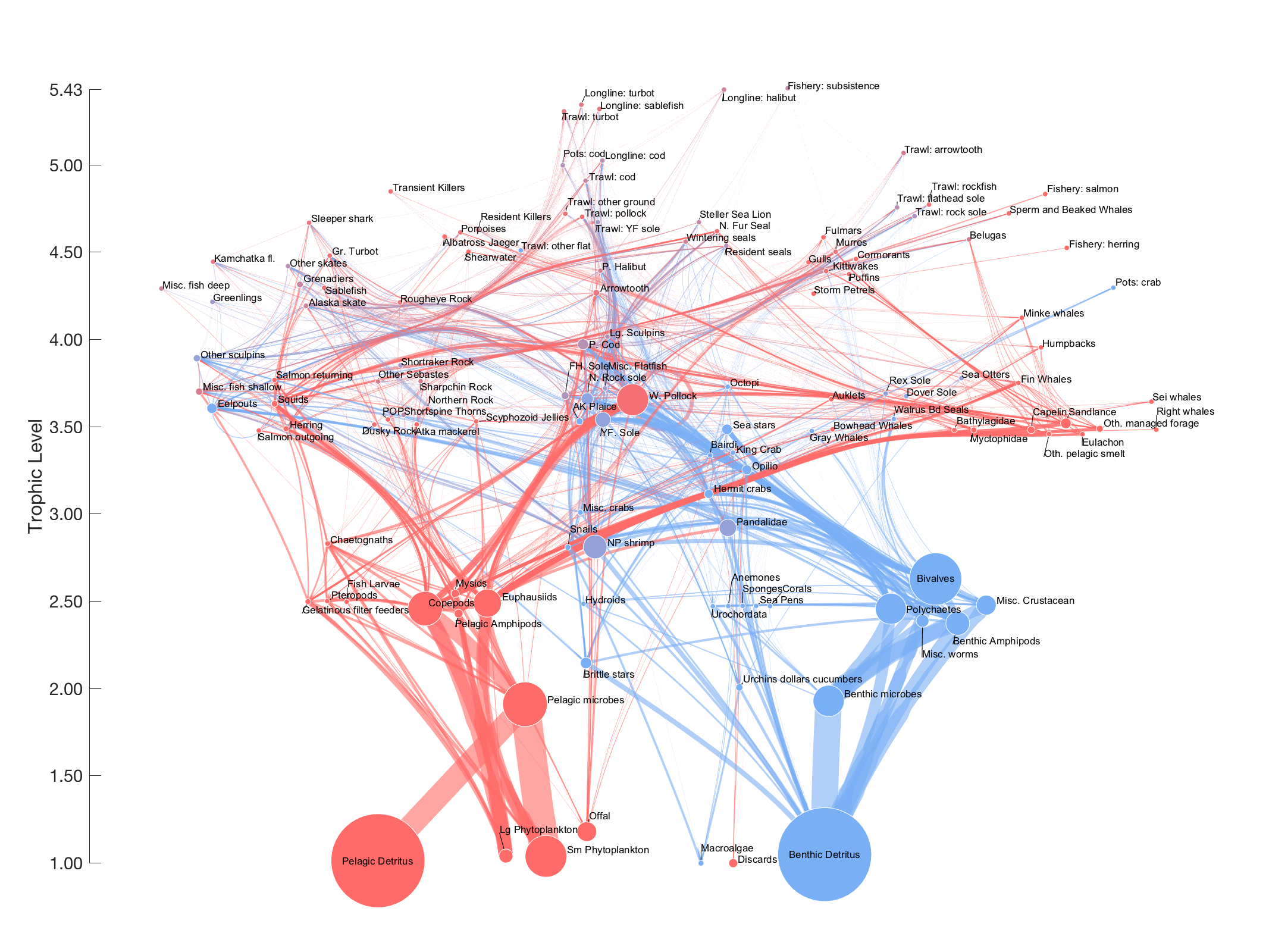 food web model