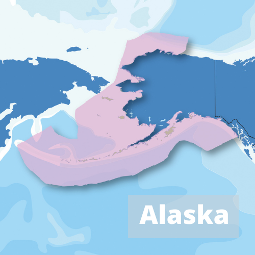 Alaska IEA region