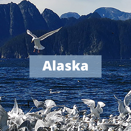 Alaska Ecosystem Status Reports