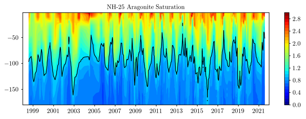 Aragonite saturation state in the water column, station NH25.