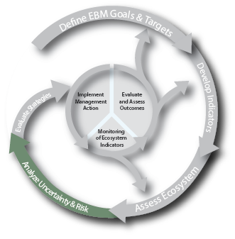 NOAA's INtegrated ecosystem assessment step 4 assess risk