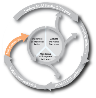 Evaluate management strategies