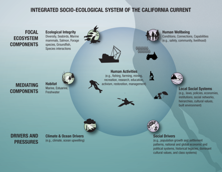 Calfornia Current ecosystem components diagram