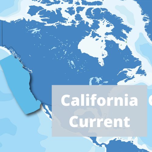 California Current IEA region