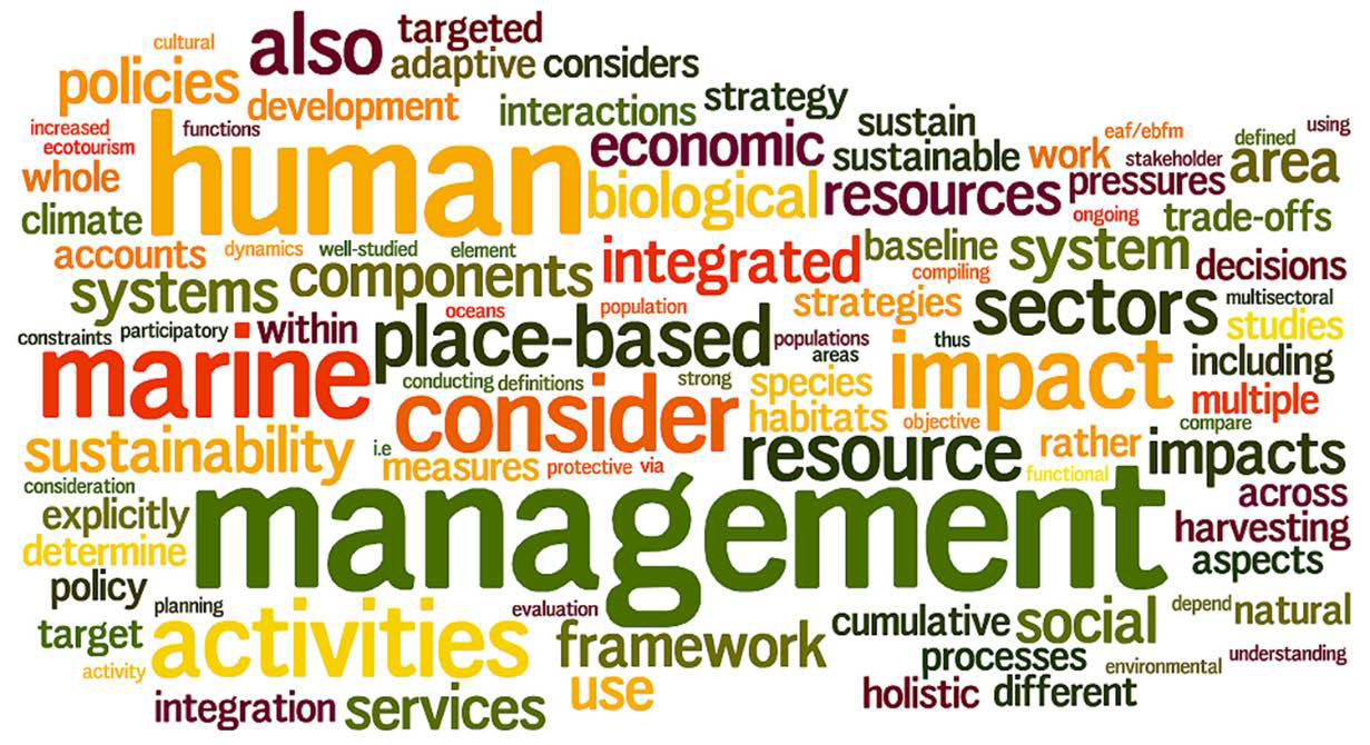 EBM word cloud