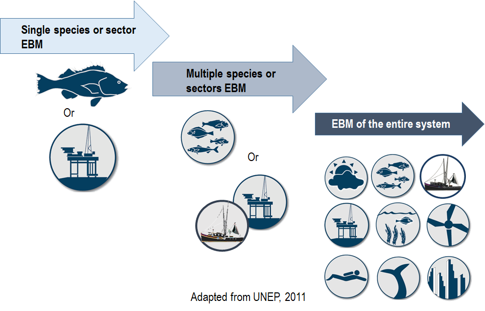 Ecosystem-Based management continuum