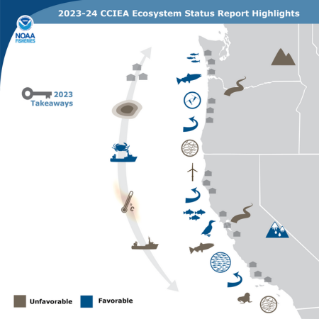 Highlights of the 2023 Ecosystem Status Report indicating major trends and takeaways. Credit: Su Kim, NOAA