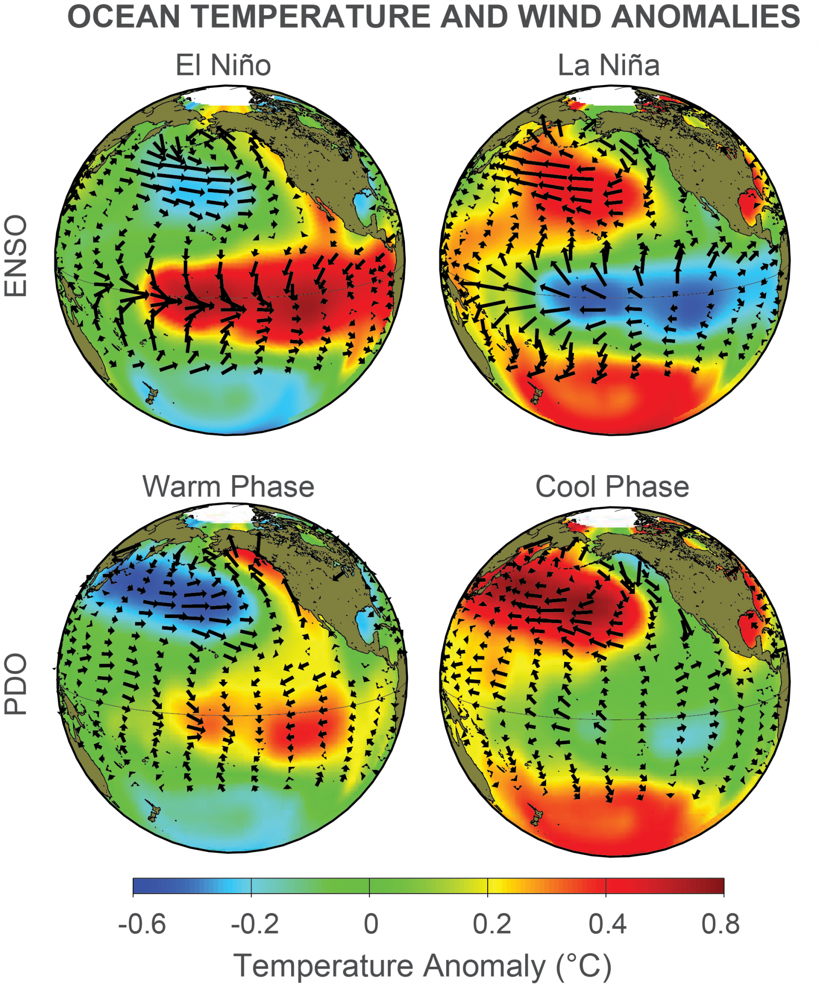 Typical sea surface temperature anomalies (color) and wind anomalies (black arrows) experienced during El Niño and La Niña (top left) and Warm and Cool Phases of the Pacific Decadal Oscillation (PDO, bottom left) across the Pacific Ocean.