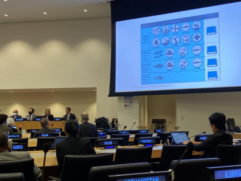 scientist presenting at the UN