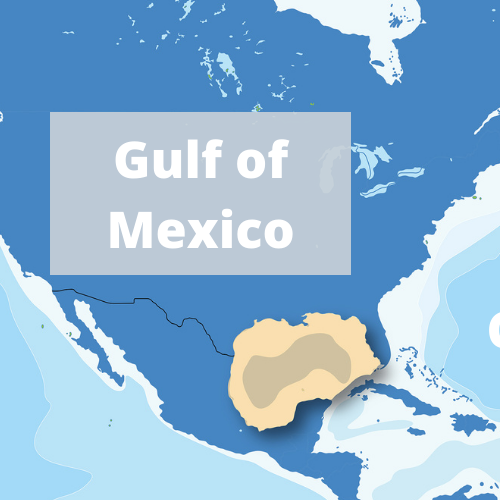 Gulf of Mexico IEA region