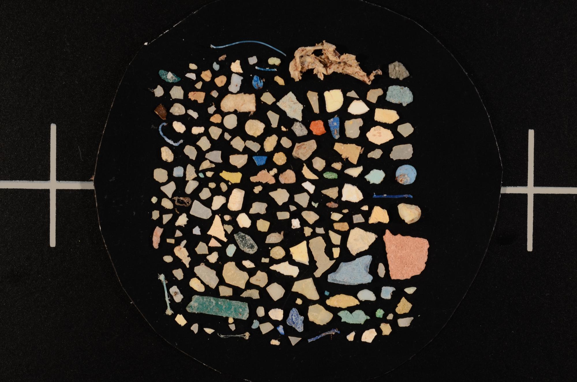 microplastics