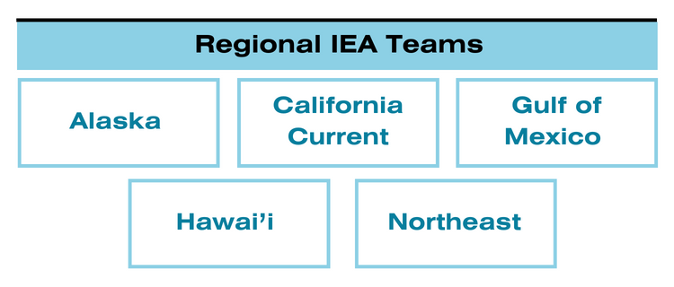 The IEA has five regional programs: Alaska, California Current, Gulf of Mexico, Hawai'i, and the Northeast. 