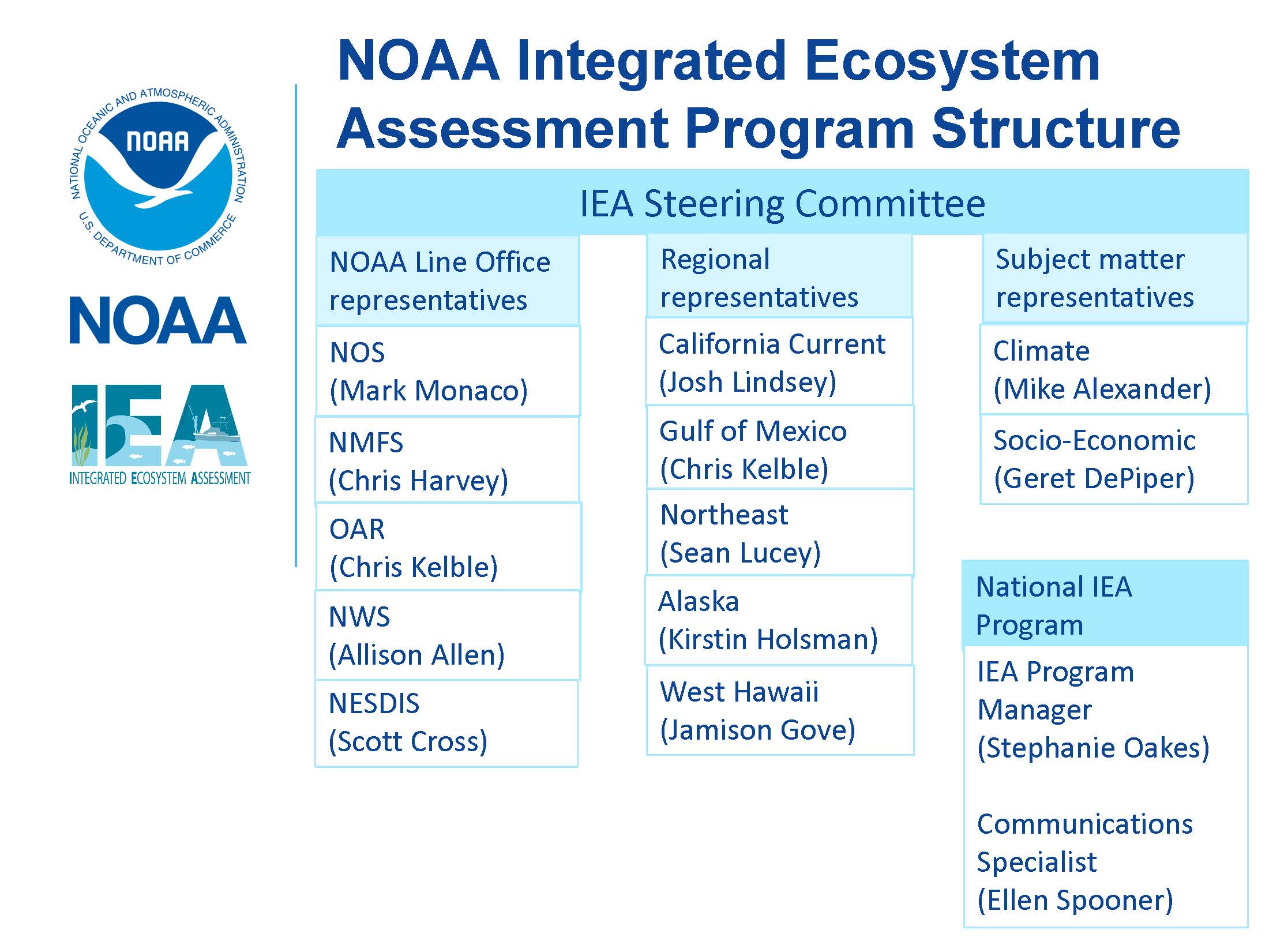 IEA steering committee members