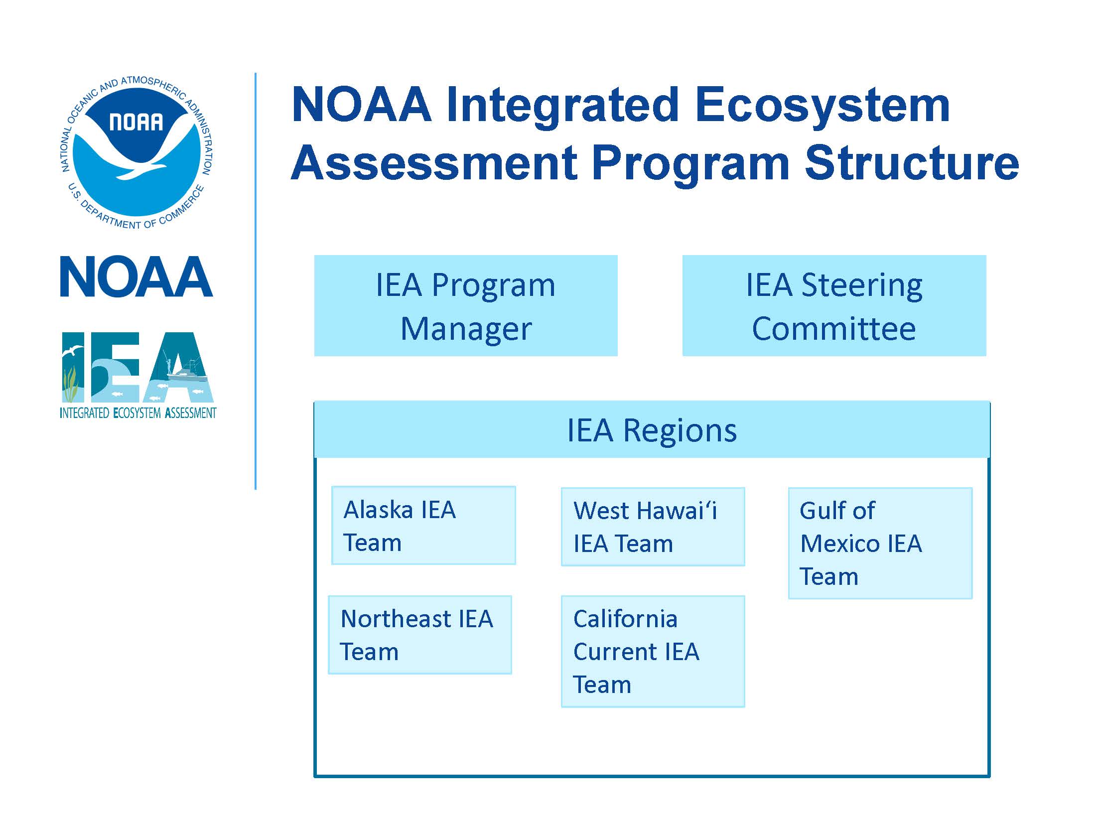 IEA program structure