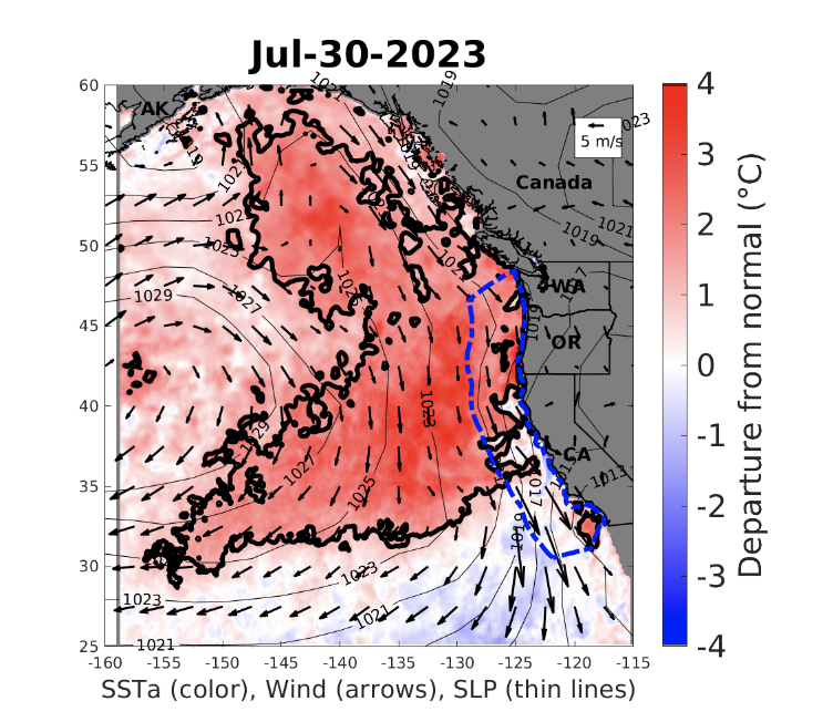Daily sea surface temperature anomalies (SSTa) in the California Current ecosystem. Color represents SSTa, with the thick black line encircling regions which are in "heatwave status".