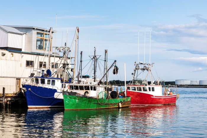 A blue boat, a green boat, and a red boat are docked in a bay.