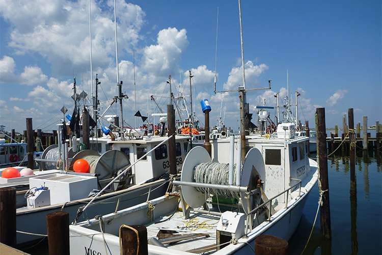 Fishing boats moored at a dock