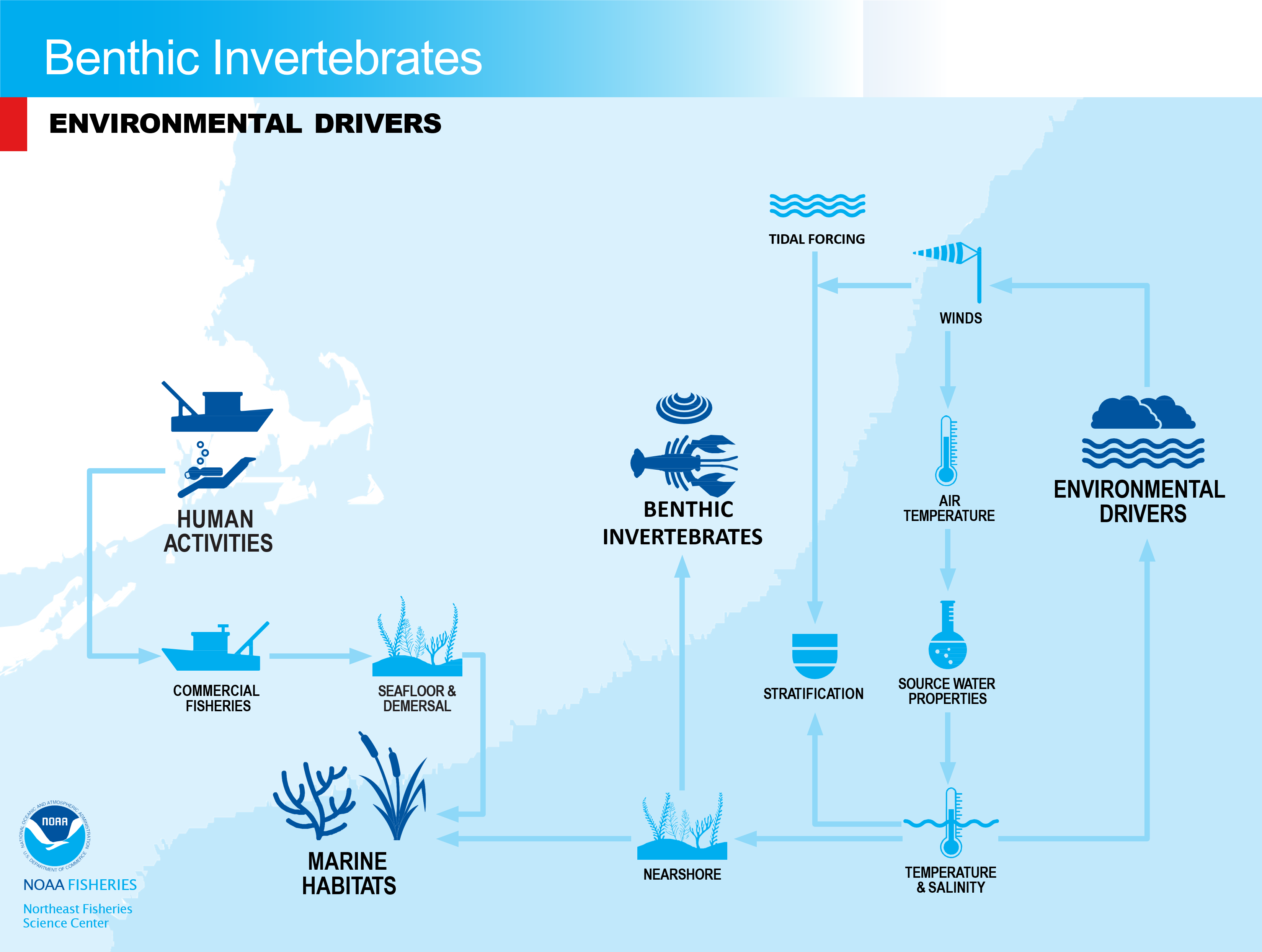 Flowchart of environmental drivers for benthic invertebrates