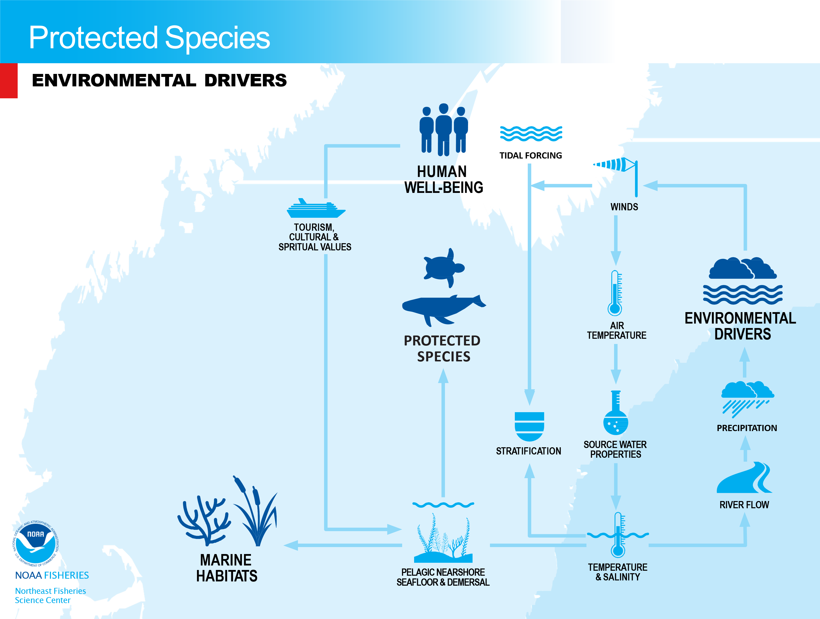 flowchart of environmental drivers of protected species