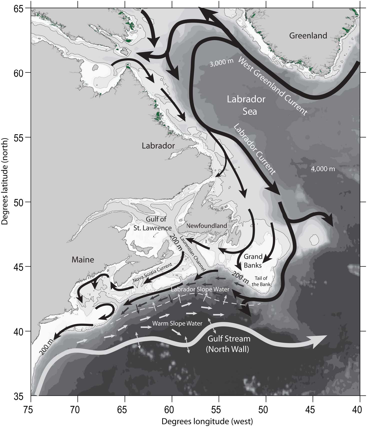 Bathymetric map of the Northwest Atlantic showing the position of the North Wall of the Gulf Stream and major features of the Labrador Current.