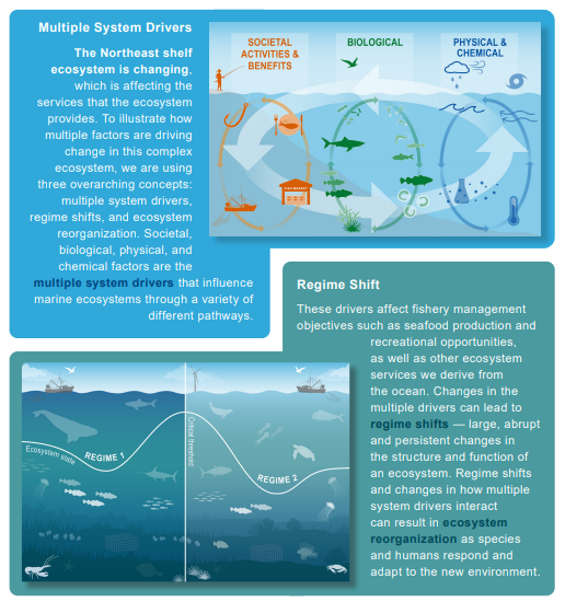 Northeast ecosystem