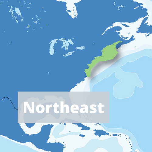 Northeast IEA region
