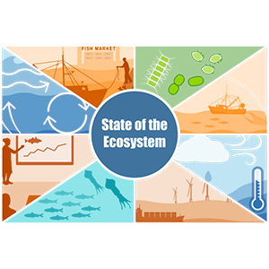 Northeast State of the Ecosystem Logo